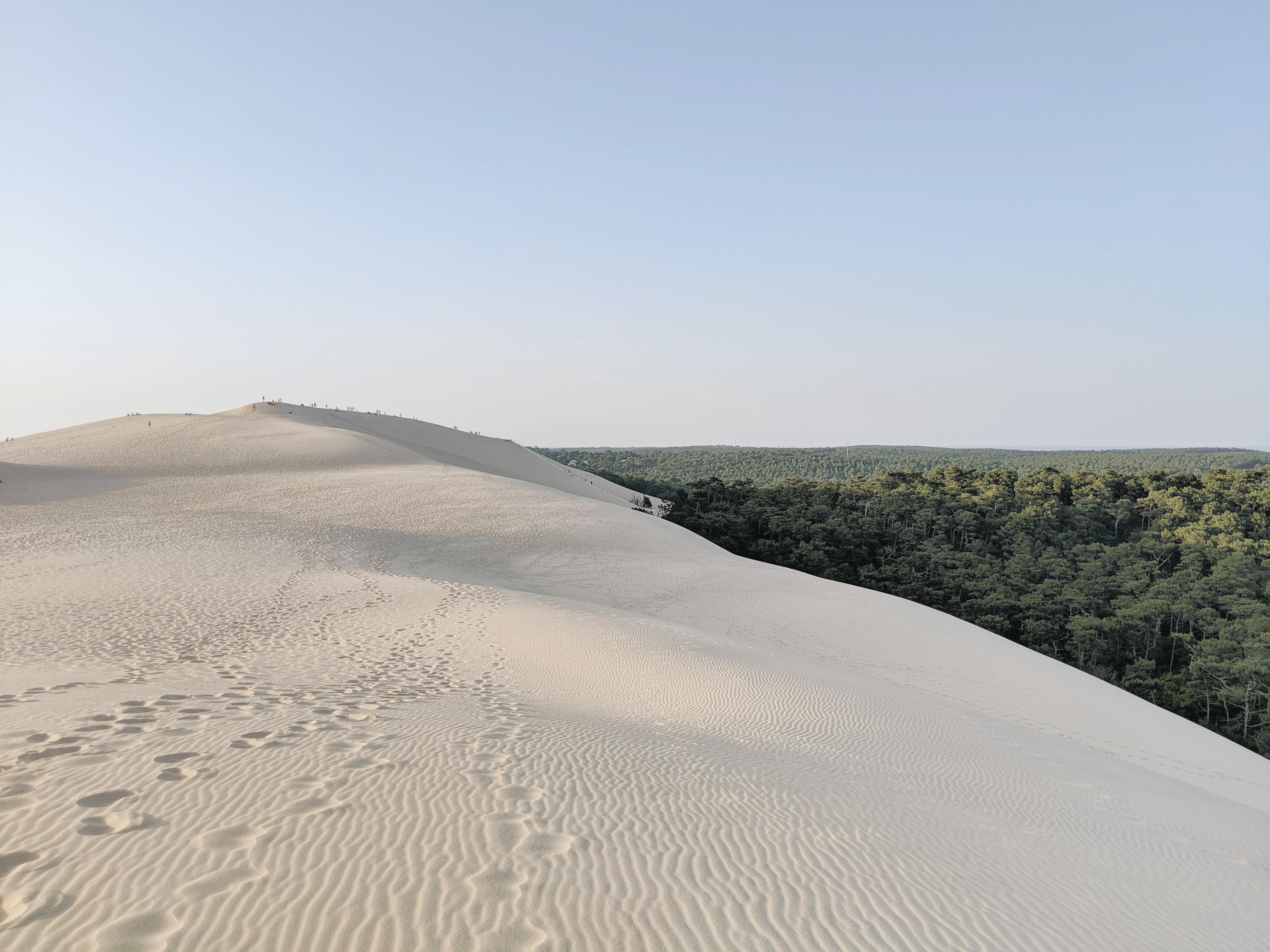 Intercontinental Bordeaux Le Grand Hotel By Ihg Esterno foto The dunes at the park