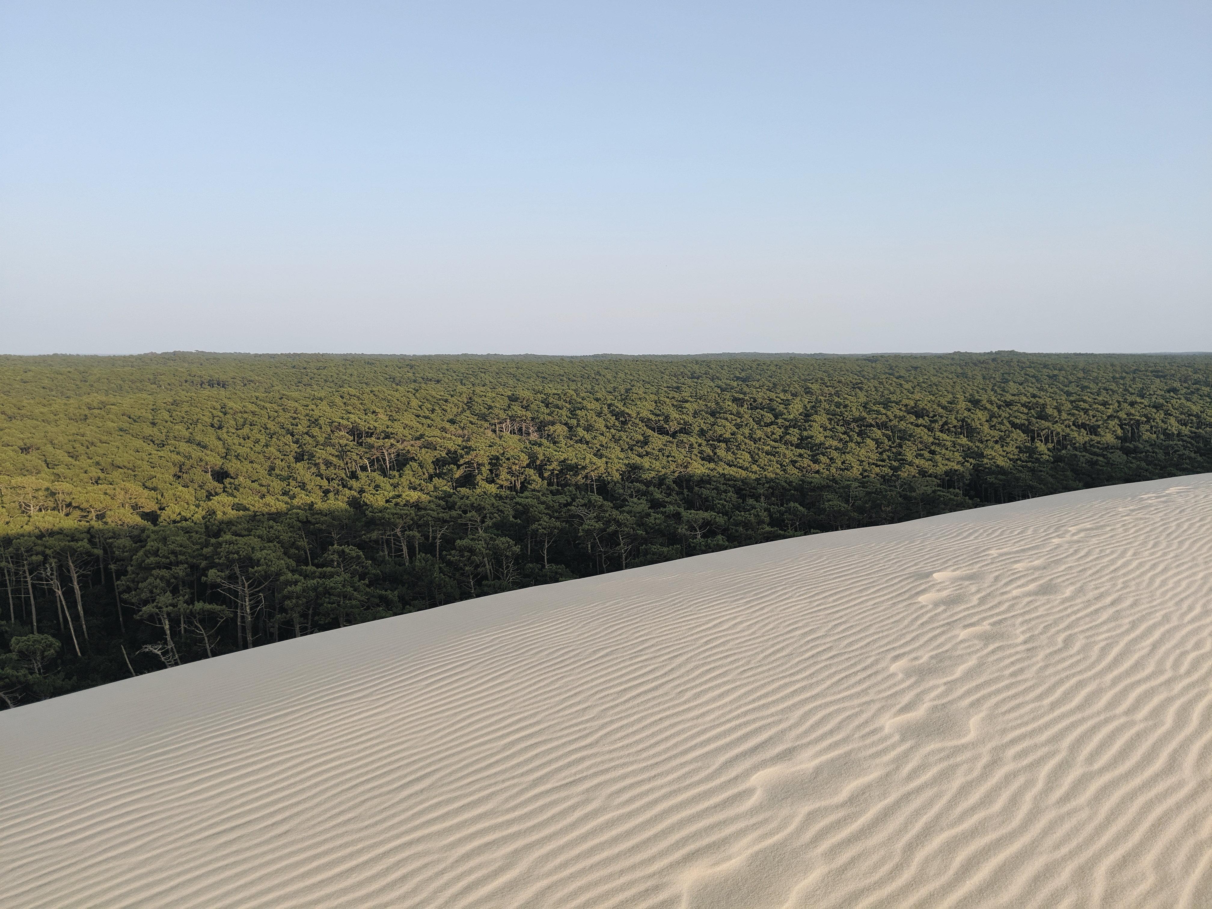 Intercontinental Bordeaux Le Grand Hotel By Ihg Esterno foto The Great Western Woodlands