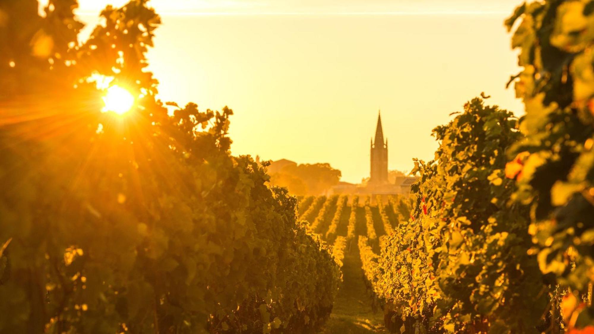 Intercontinental Bordeaux Le Grand Hotel By Ihg Esterno foto Vineyards in the Rheinhessen